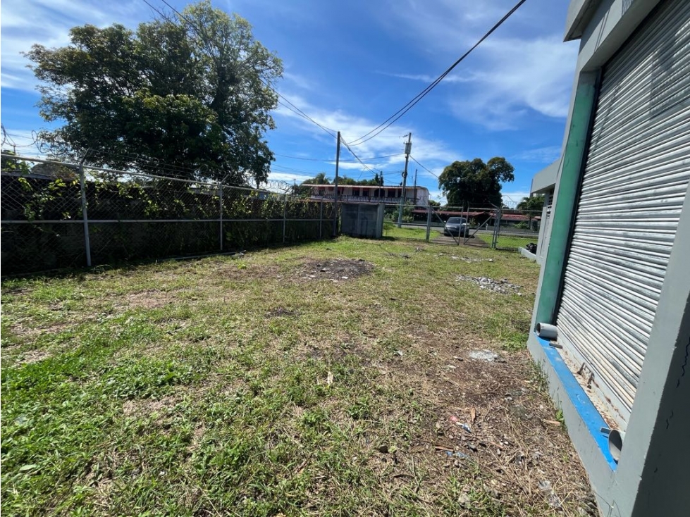 LOCAL EN ALQUILER JUAN DÍAZ $850 (C.P) - 4