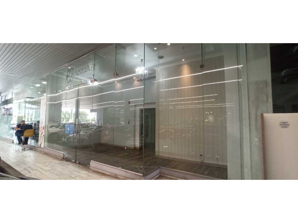 Locales Disponibles en mejor zona de Avenida Balboa