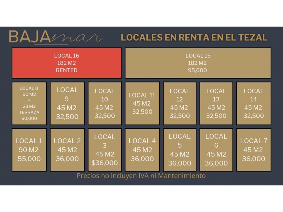 Locales en renta tezal plaza baja mar - 2