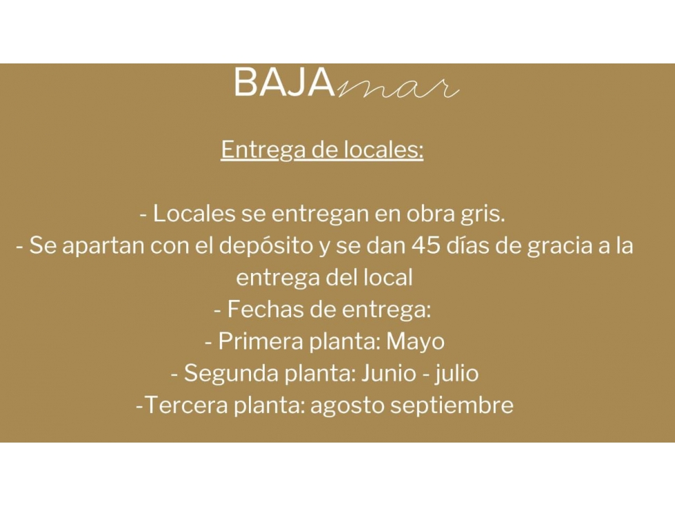 Locales en renta tezal plaza baja mar - 3