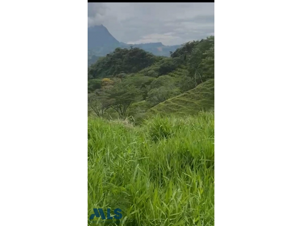 LOT EN VENTA EN AMAGA(MLS#255766) - 4