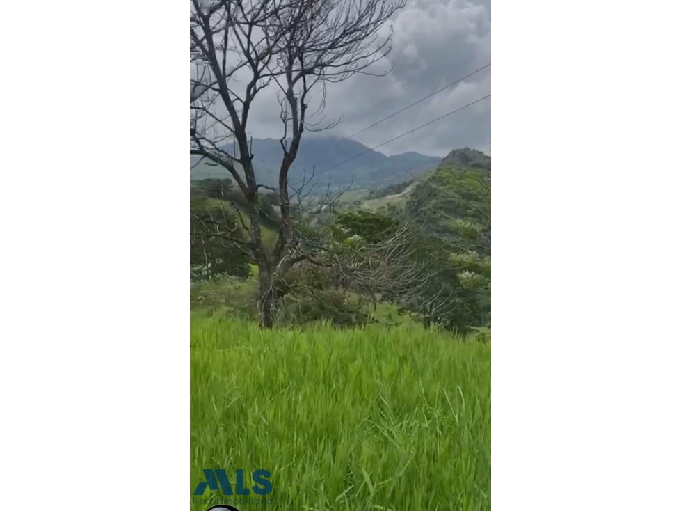 LOT EN VENTA EN AMAGA(MLS#255766) - 5