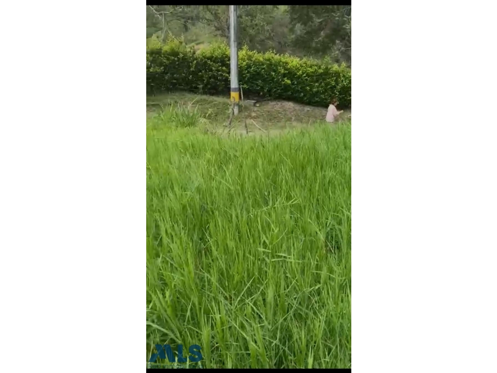LOT EN VENTA EN AMAGA(MLS#255766) - 6