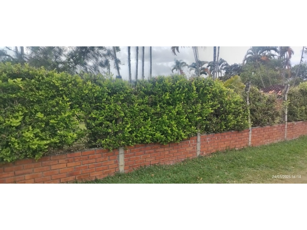LOTE 12 PARCELACION BOMBAY, HACE PARTE DE LA FINCA GOPIPES ANTES COCO — foto 4