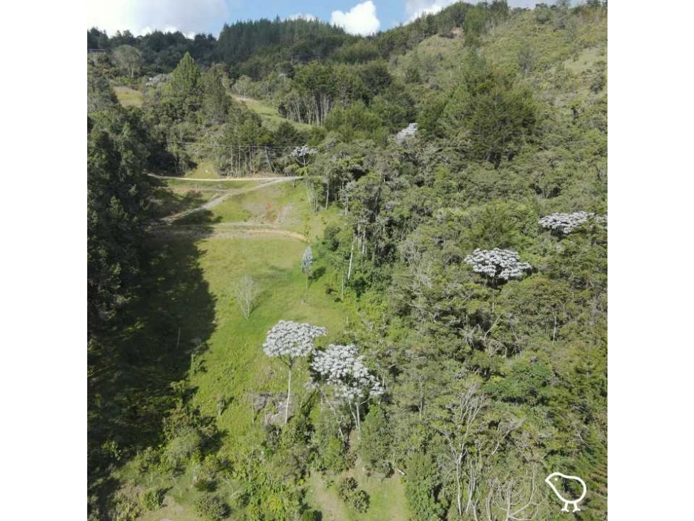 Lote — foto 2