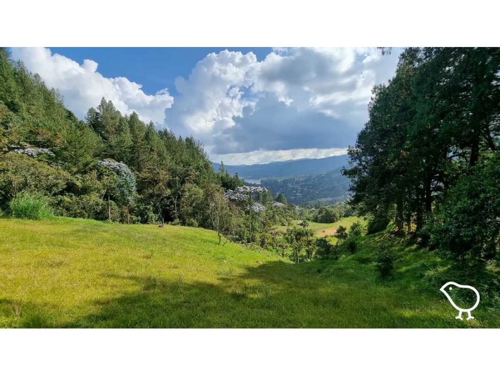 Lote — foto 6