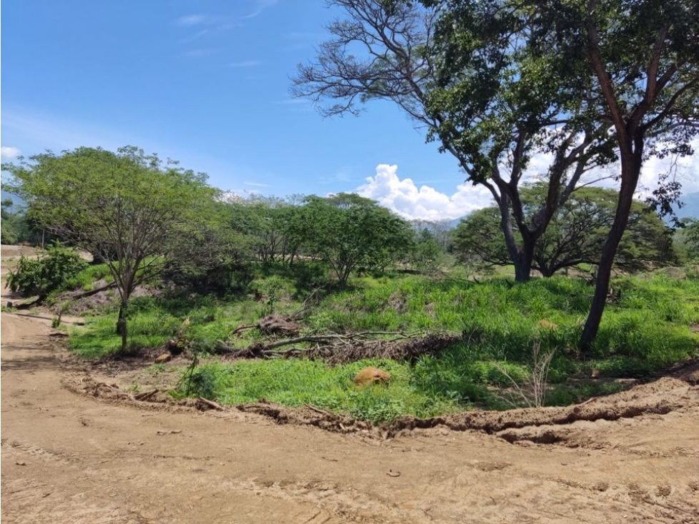 LOTE EN SOPETRAN EN PARCELACION CON LAGO DE PESCA - 6