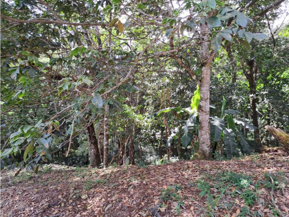 Lote 17500. Totalmente plano - 2