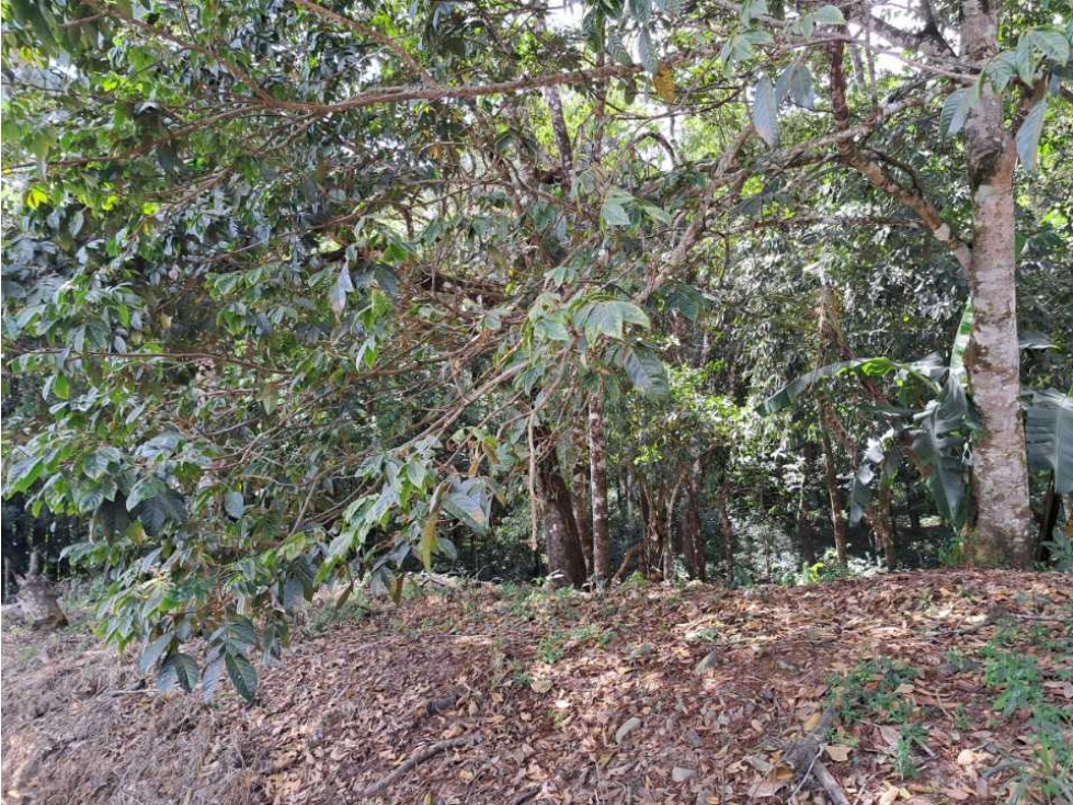 Lote 17500. Totalmente plano - 3