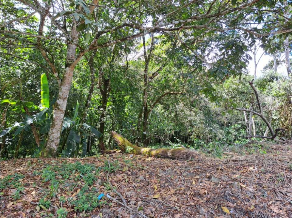 Lote 17500. Totalmente plano - 4