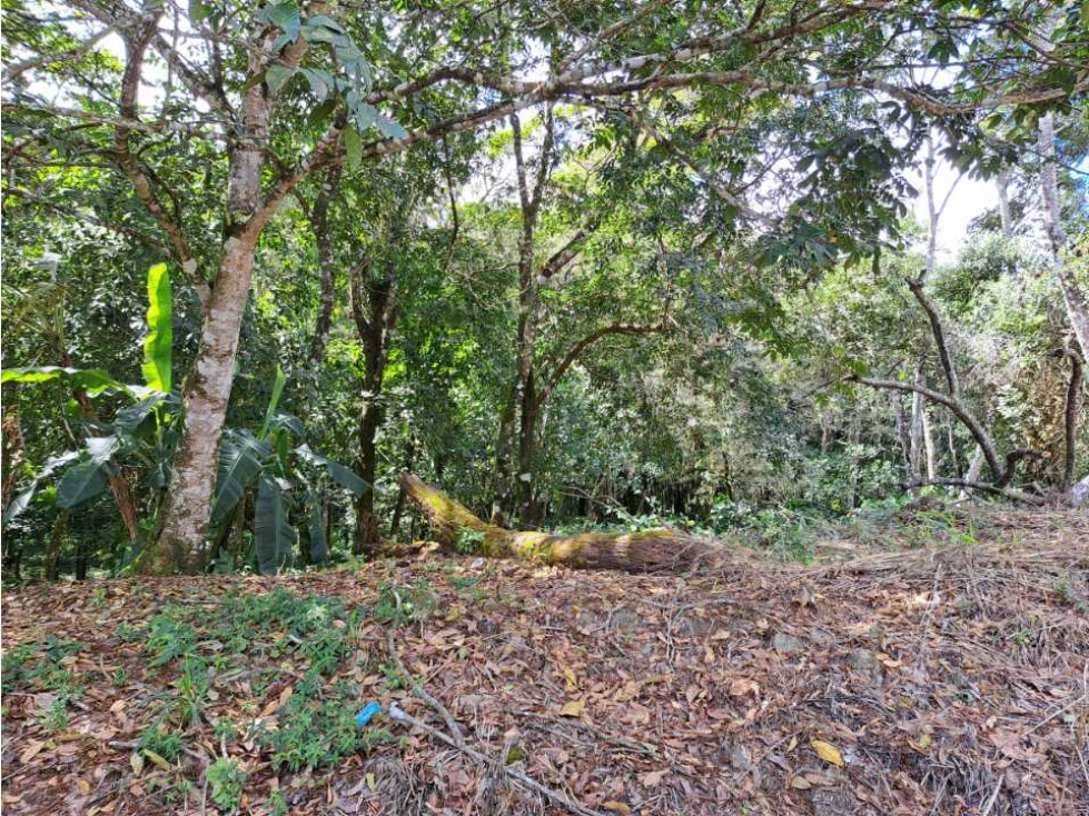 Lote 17500. Totalmente plano - 5