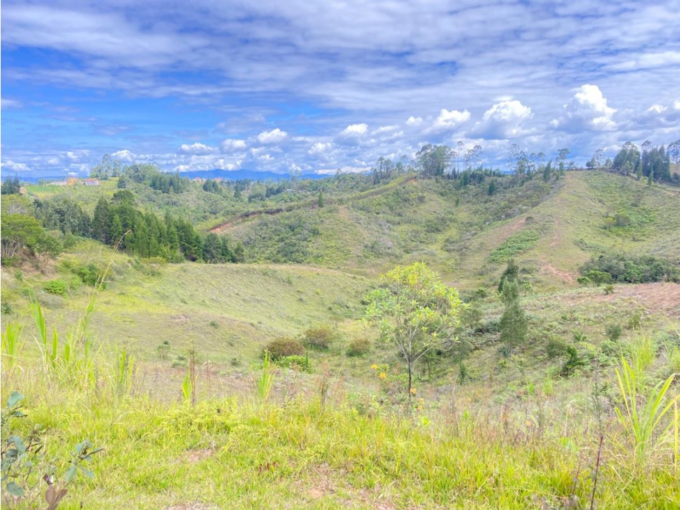 Lote en venta para parcelar en Guarne — foto 3