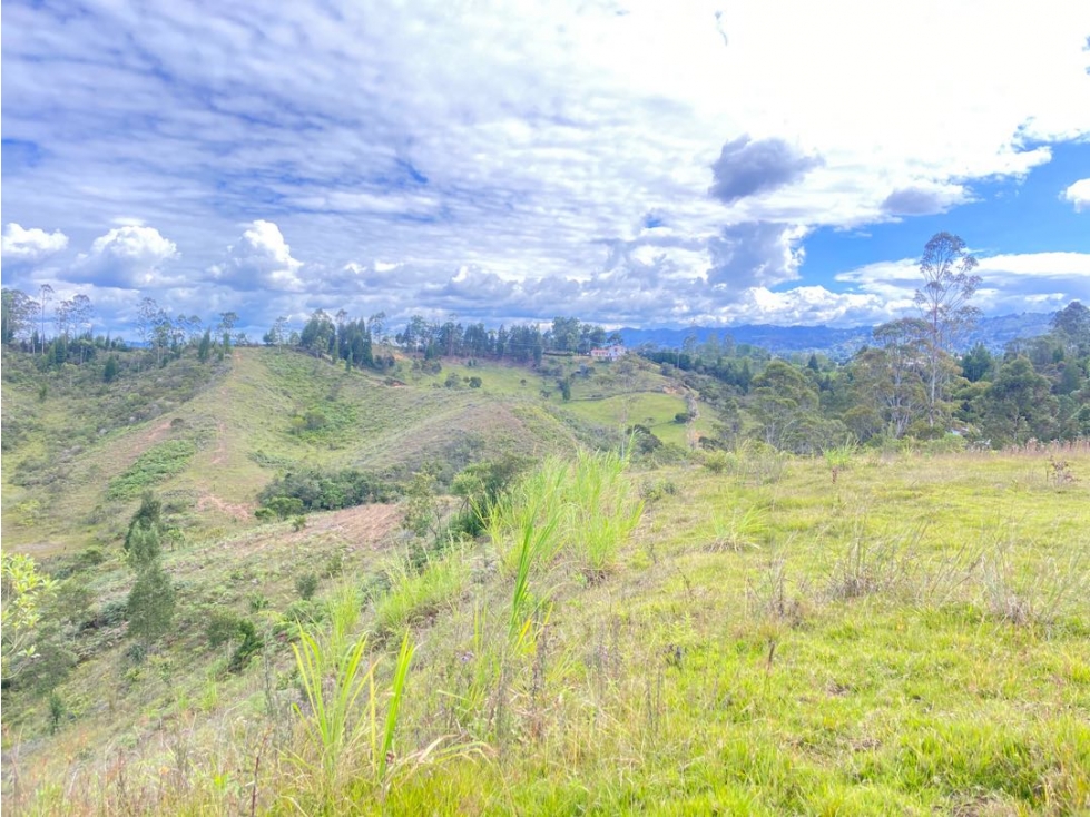 Lote en venta para parcelar en Guarne — foto 5