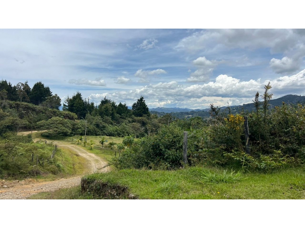Venta, lote 100.117mt2 Ubicado en Sajonia con licencias activas — foto 2