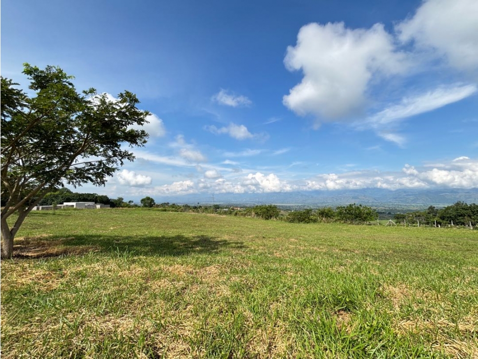 VENTA LOTE CON DISEÑOS Y CIMENTACION LISTA CERRITOS PEREIRA