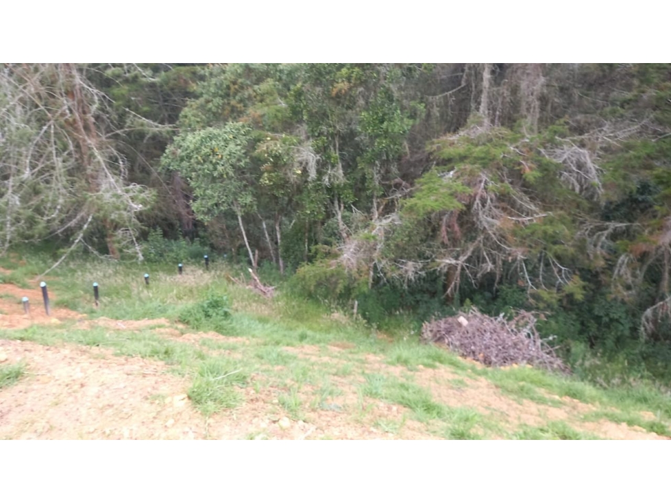LOTE EN SAN PEDRO IDEAL PARA UNA CABAÑA.ESCRITURA