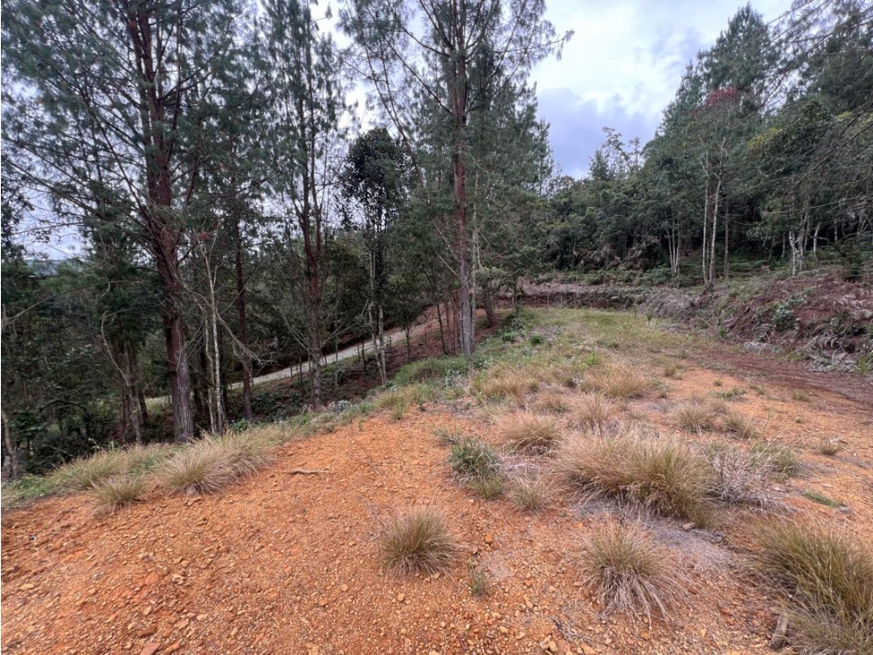 Lote 1 en venta 11.038 m² Tablazo Alto, El Retiro - 2