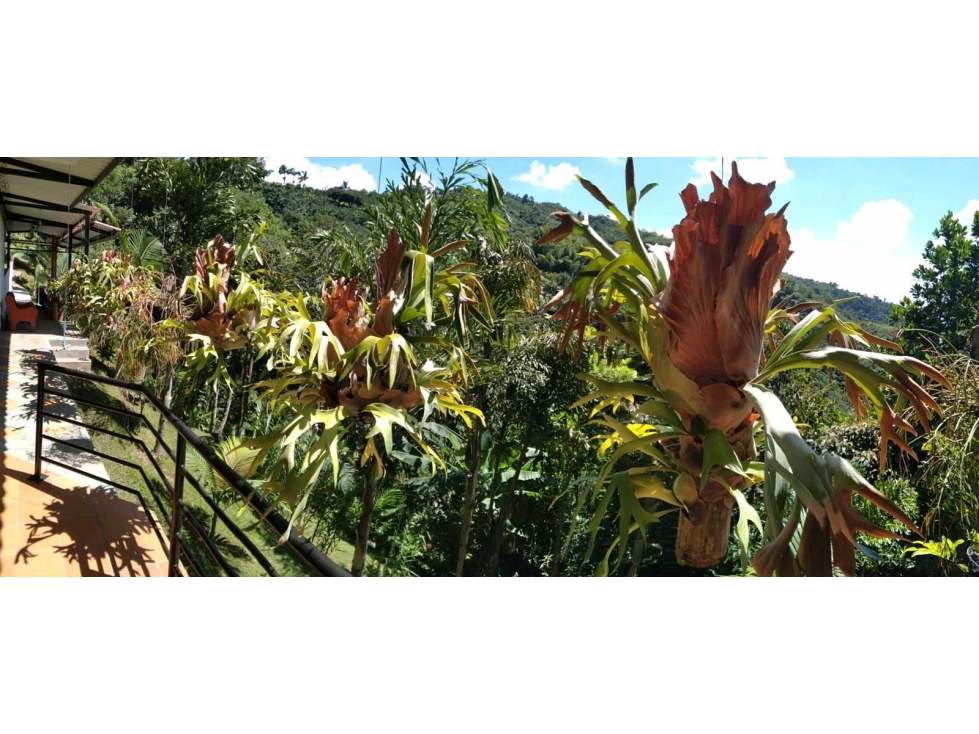 Lote 1 Vereda El Rodeo, Manizales? Área: 5.750 m2 — foto 2