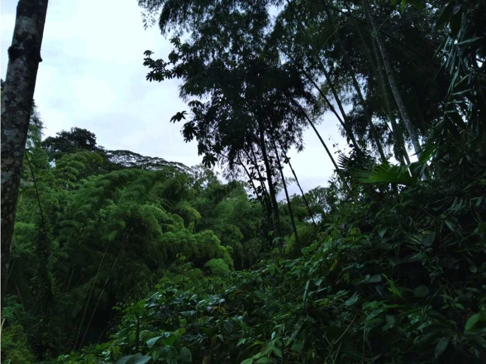 Lote 1 Vereda El Rodeo, Manizales? Área: 5.750 m2 — foto 3