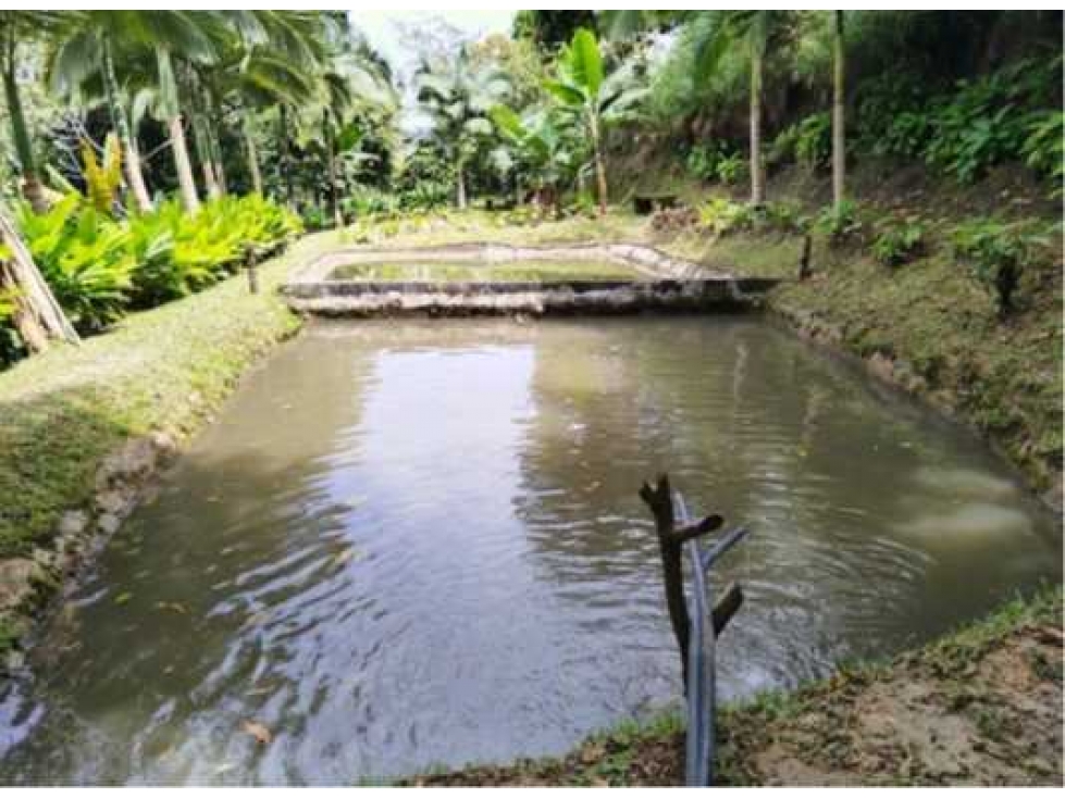 Lote 2 con Casa Vereda El Rodeo, Manizales? Área: 1,1276 hectáreas — foto 3