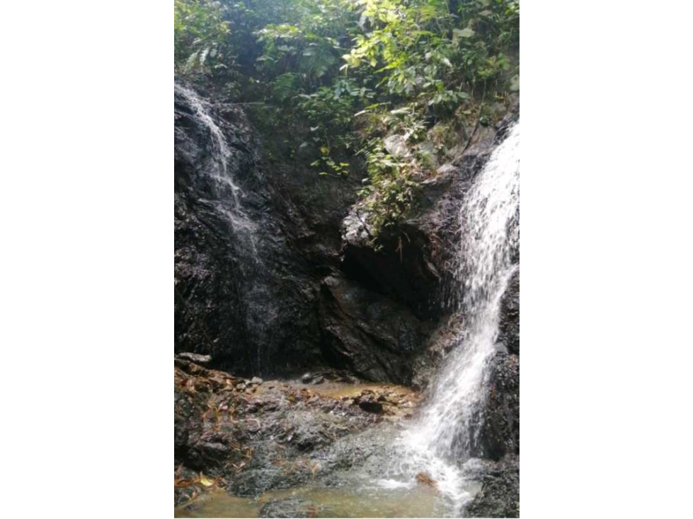 Lote 2 con Casa Vereda El Rodeo, Manizales? Área: 1,1276 hectáreas — foto 4