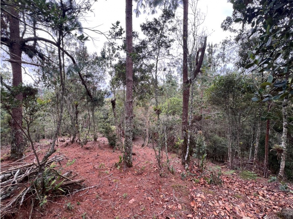 Lote 2 en venta 10.985 m² Tablazo Alto, El Retiro - 2