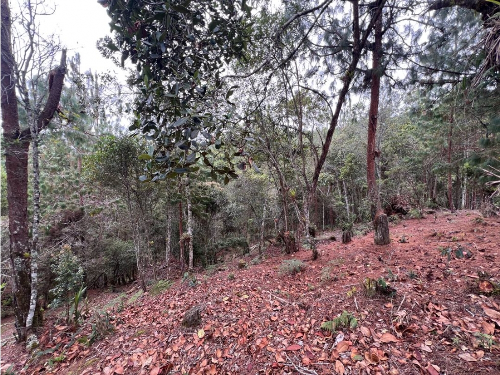 Lote 2 en venta 10.985 m² Tablazo Alto, El Retiro - 3