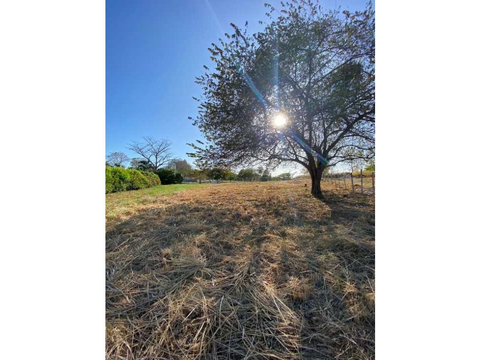 SE VENDE LOTE 39 CORONADO