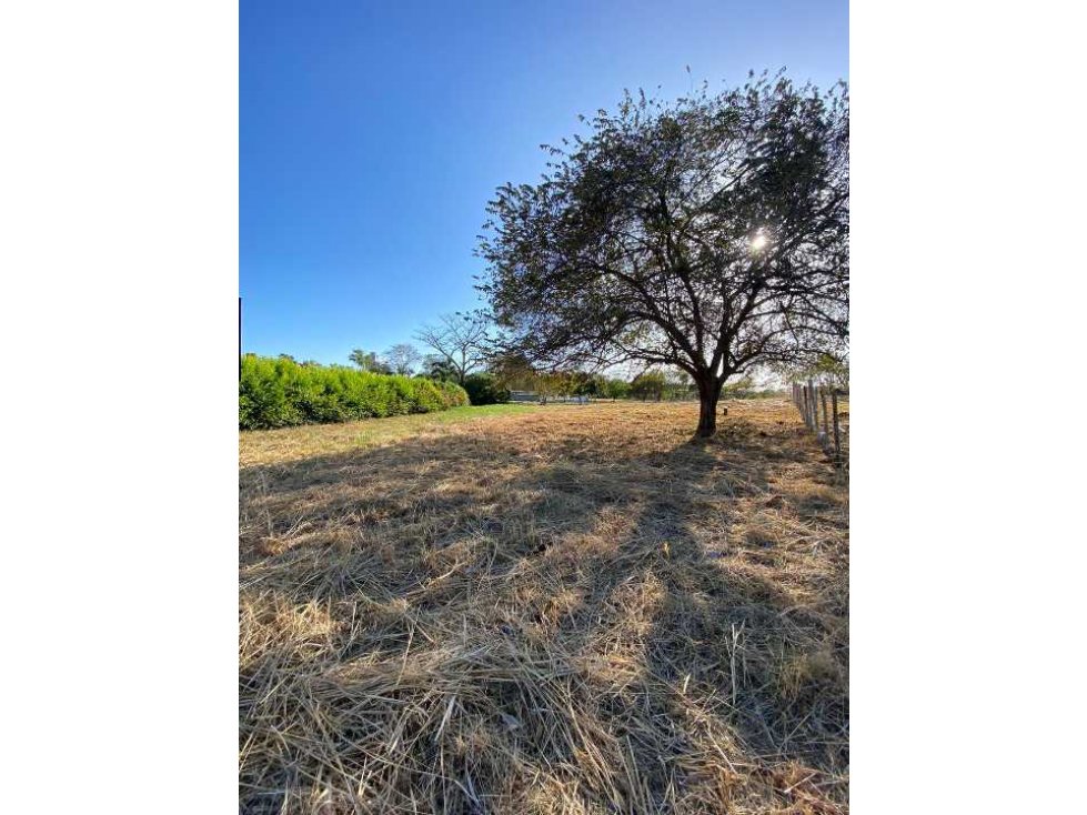 SE VENDE LOTE 39 CORONADO — foto 3