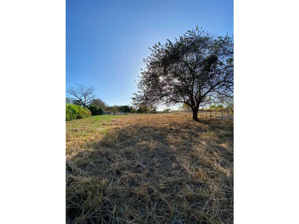 SE VENDE LOTE 39 CORONADO — foto 4