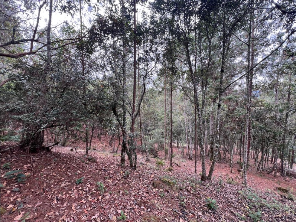 Lote 3 en venta 10.584 m² Tablazo Alto, El Retiro - 1