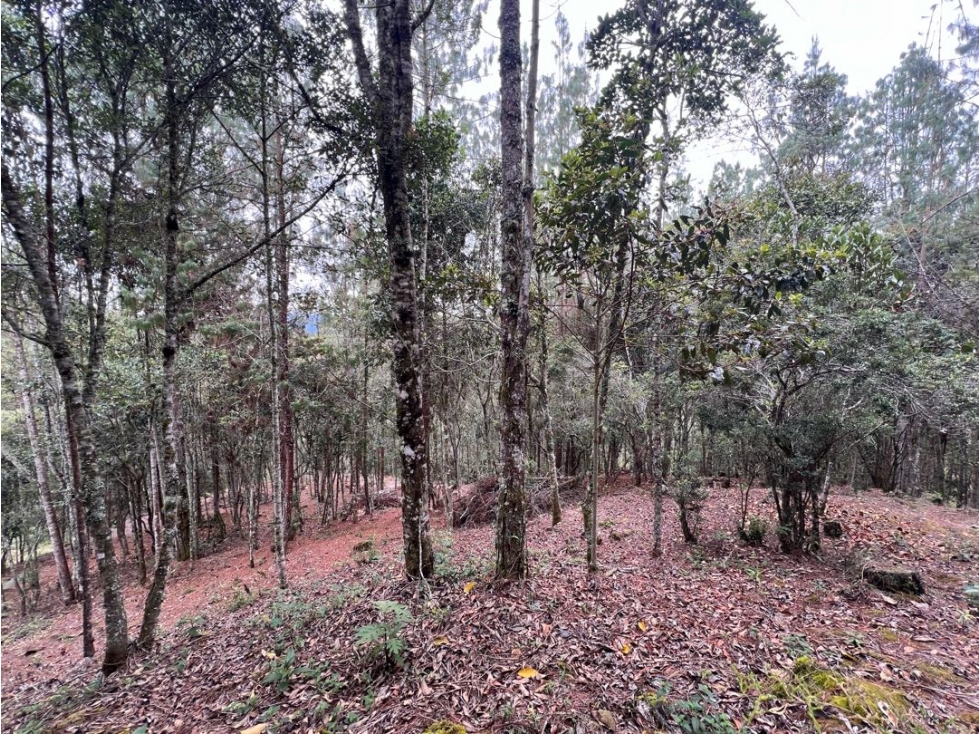 Lote 3 en venta 10.584 m² Tablazo Alto, El Retiro - 2