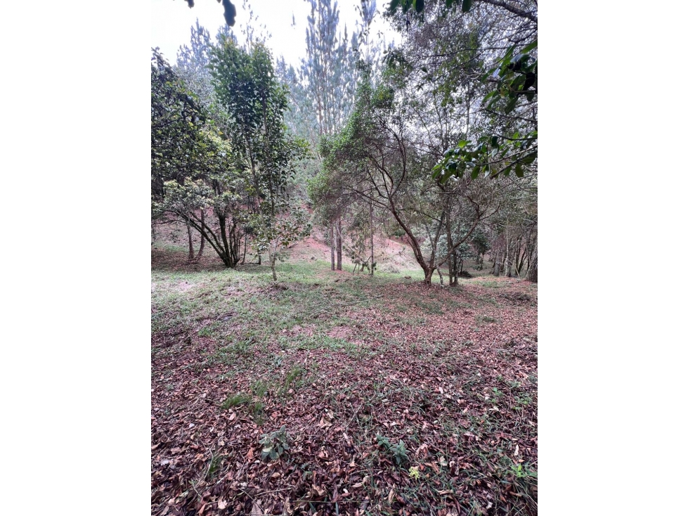 Lote 3 en venta 10.584 m² Tablazo Alto, El Retiro - 6