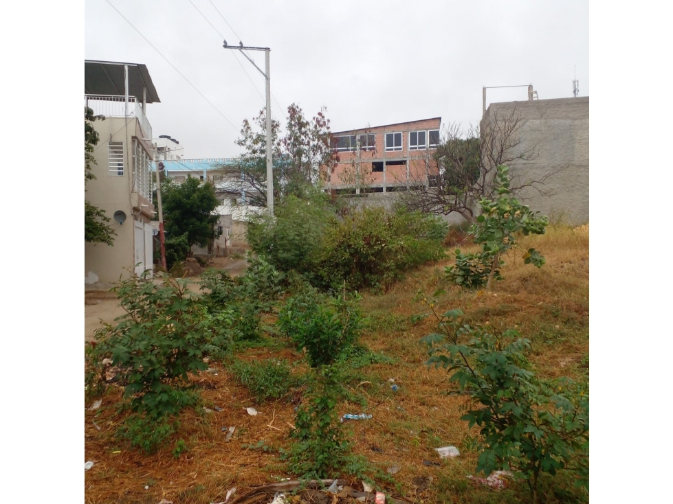 LOTE 3 MANZANA A URB SAN JOSE - 4