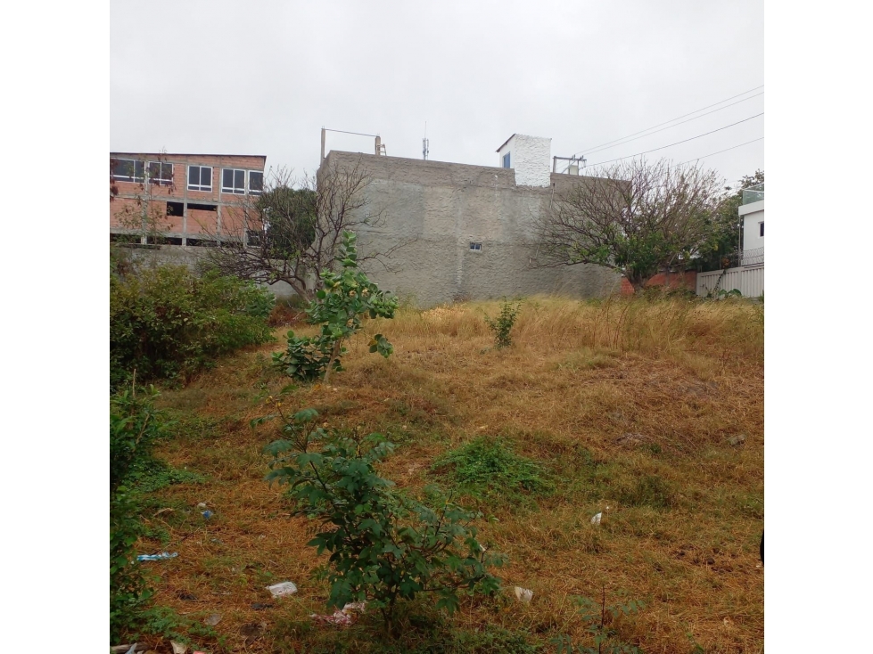 LOTE 3 MANZANA A URB SAN JOSE - 5