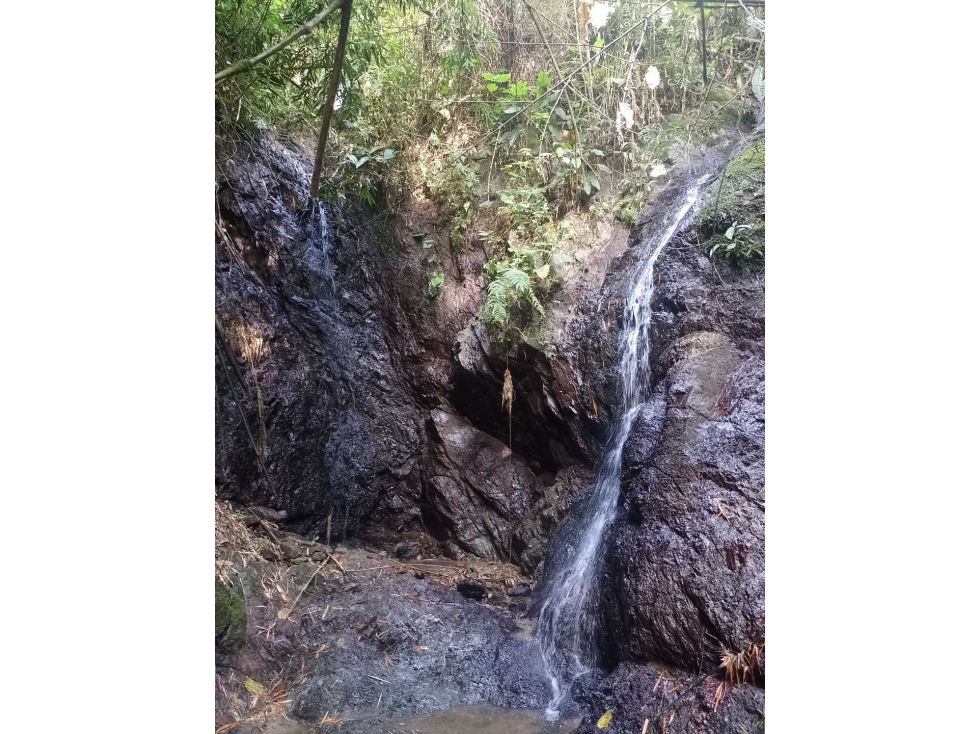 Lote 3 Vereda El Rodeo, Manizales? Área: 1,2812 hectáreas