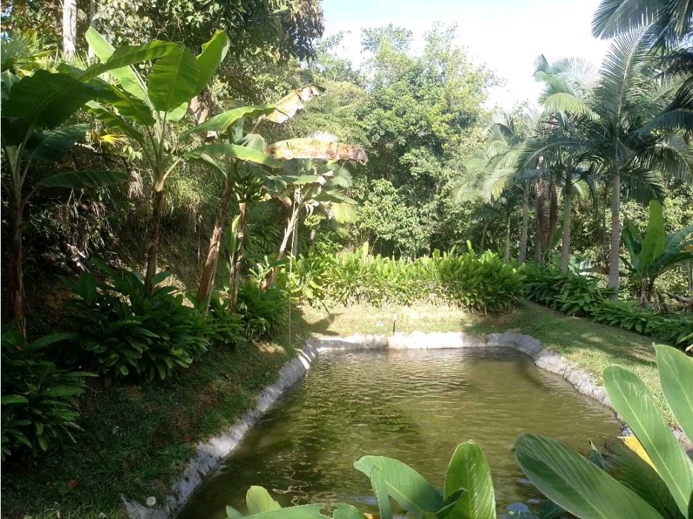 Lote 3 Vereda El Rodeo, Manizales? Área: 1,2812 hectáreas — foto 2