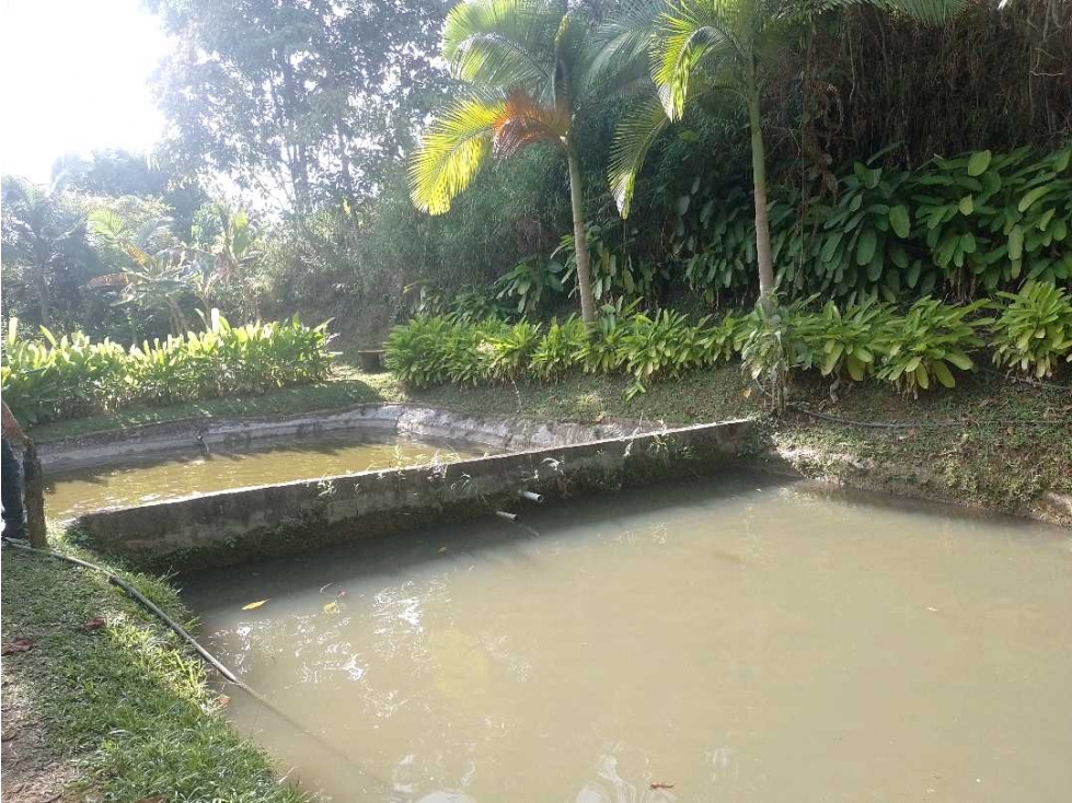Lote 3 Vereda El Rodeo, Manizales? Área: 1,2812 hectáreas — foto 3