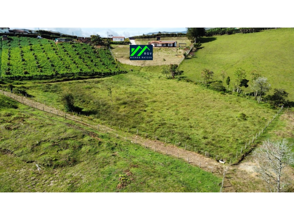 LOTE 5.000 Mt2 100% PLANO en San Vicente