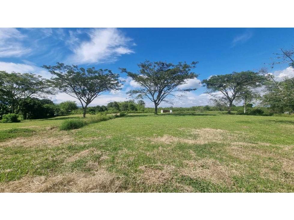 Lote a 12 km del parque del cafe o de Montenegro plano