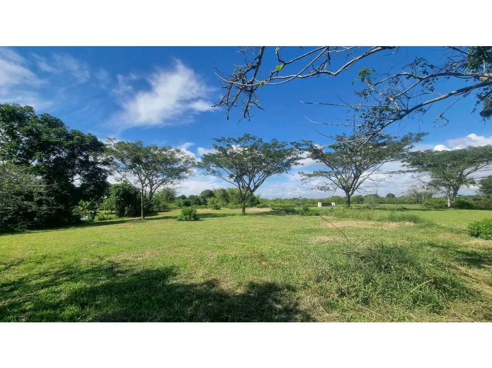 Lote a 12 km del parque del cafe o de Montenegro plano — foto 3