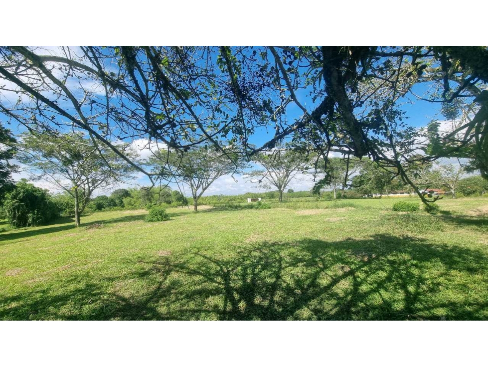 Lote a 12 km del parque del cafe o de Montenegro plano — foto 4
