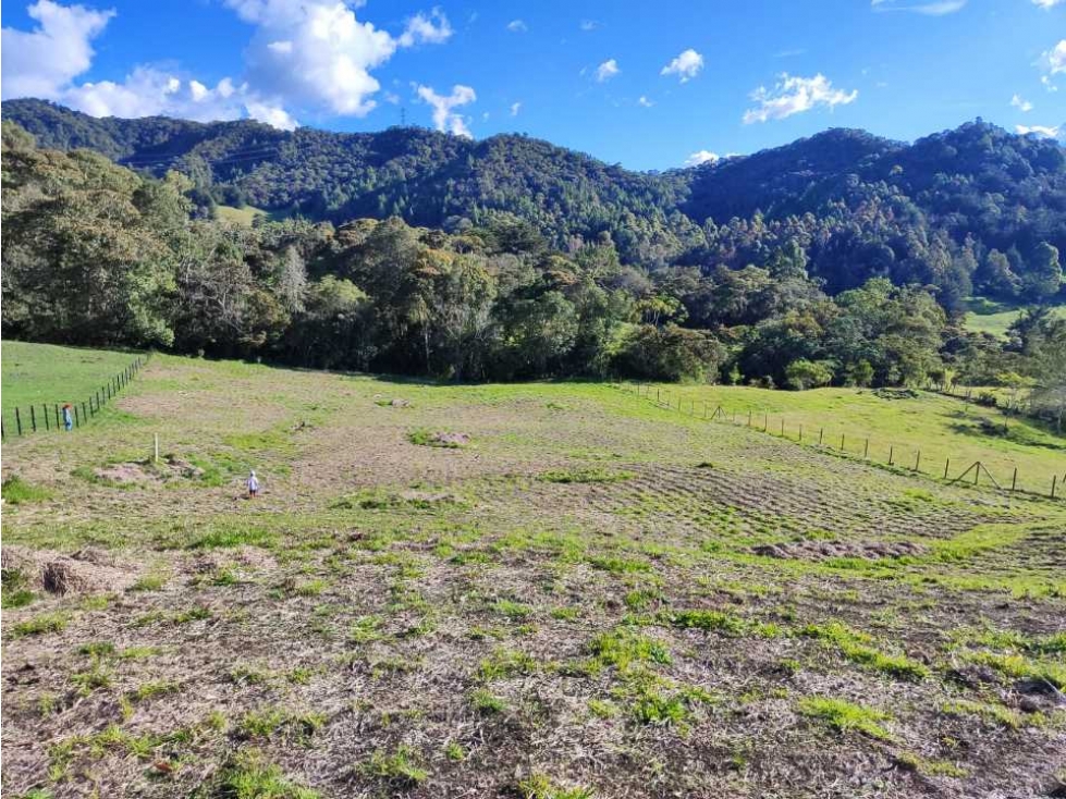 Lote a la venta en Parcelacion abierta La Ceja