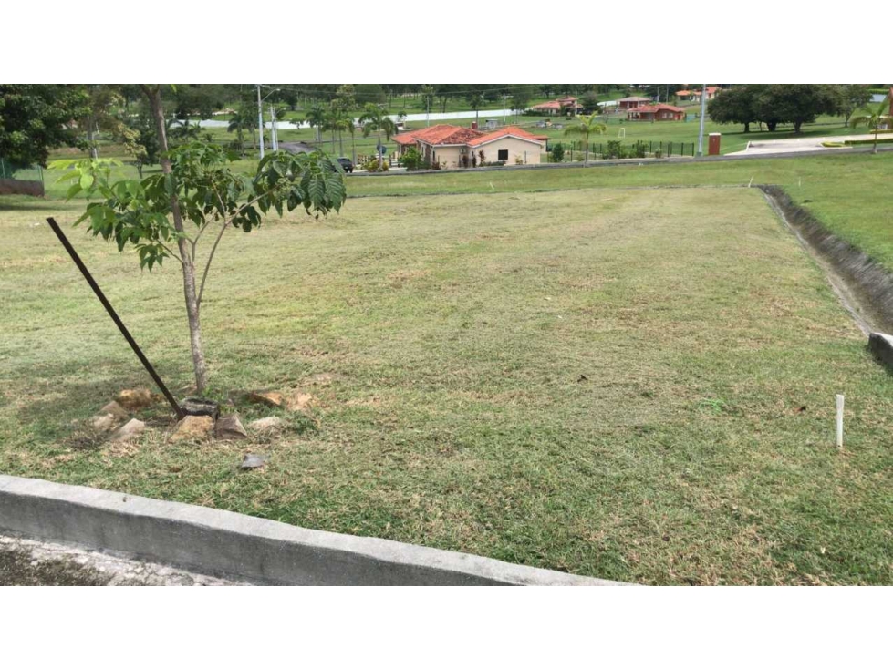 LOTE A LA VENTA PH LA COLONIA BRISAS DEL CELAJE CHAME