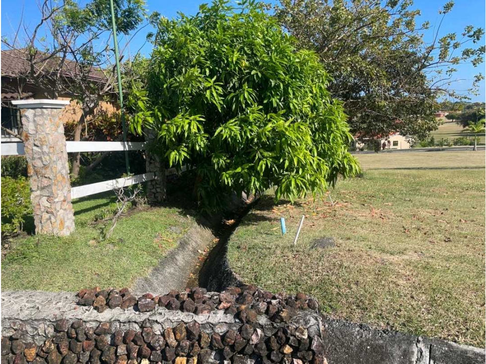 LOTE A LA VENTA PH LA COLONIA BRISAS DEL CELAJE CHAME — foto 3