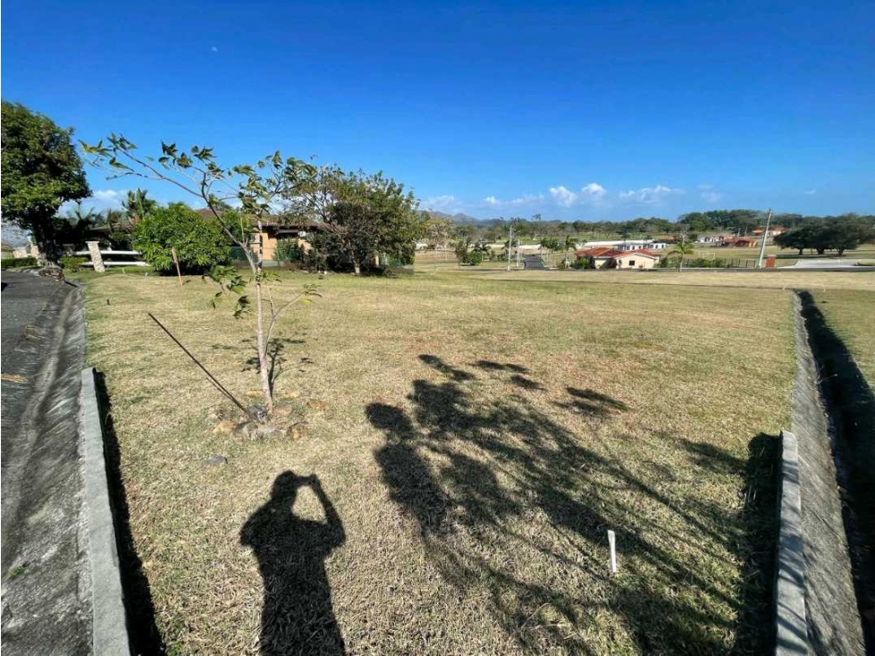 LOTE A LA VENTA PH LA COLONIA BRISAS DEL CELAJE CHAME — foto 6