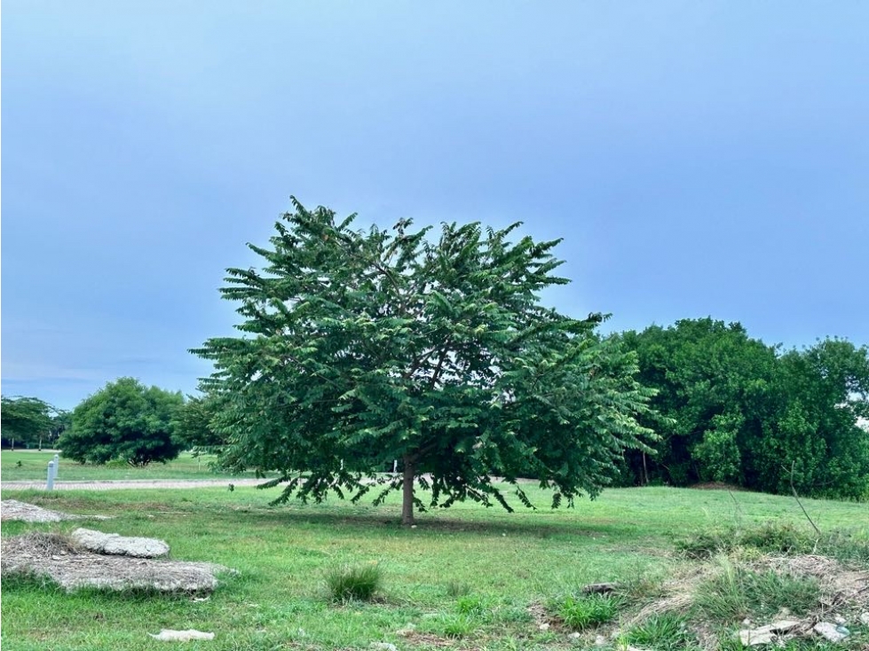 LOTE ALBATROSS KARIBANA BEACH GOLF, CARTAGENA — foto 4