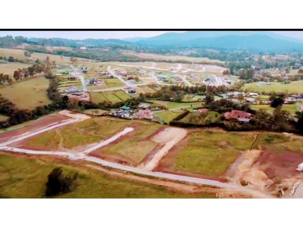 Lote Alto de las Palmas