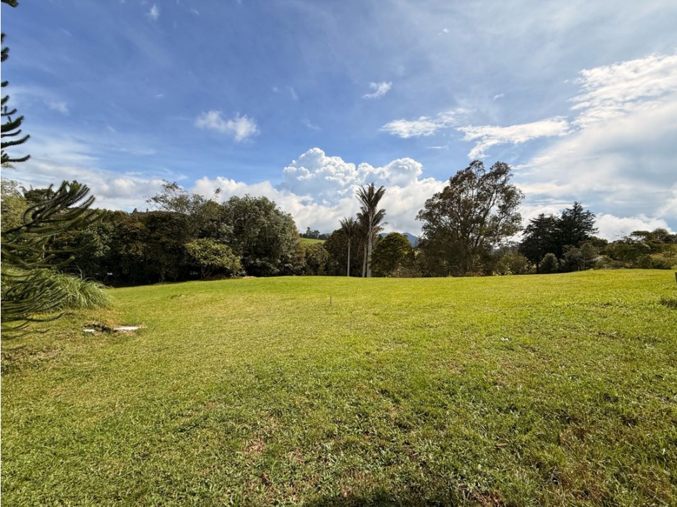 Lote Alto de Las Palmas