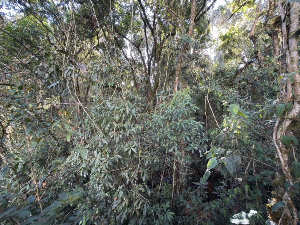 Lote Alto de Las Palmas — foto 4